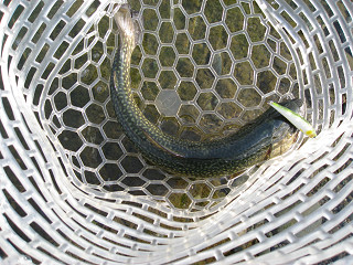 f0065341_21322242.jpg