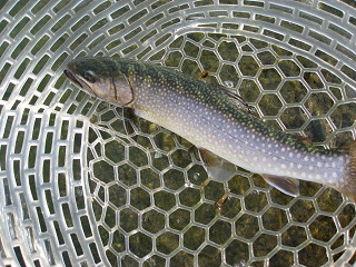 f0065341_21435339.jpg