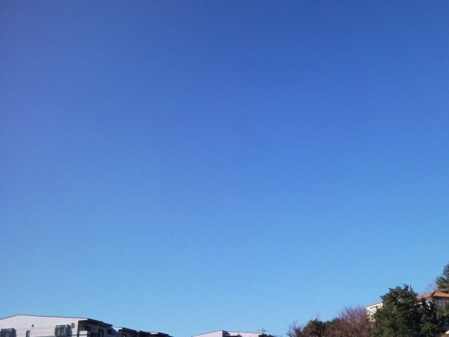 e0150843_18125370.jpg