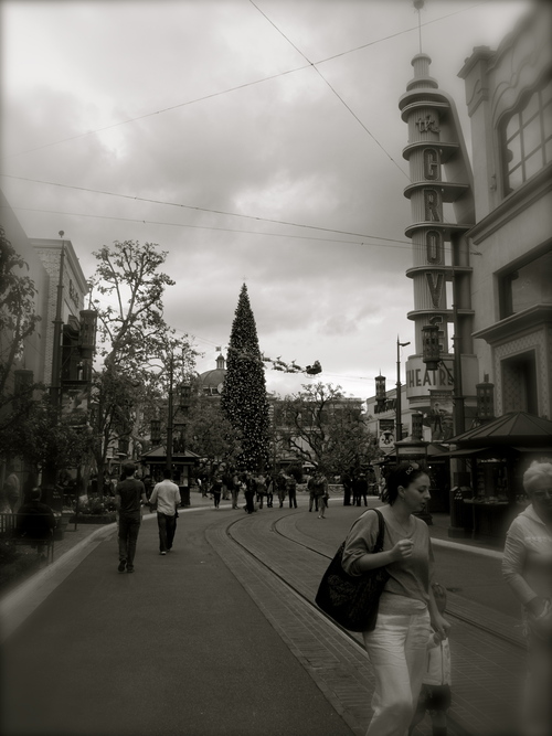 d0177545_1126168.jpg