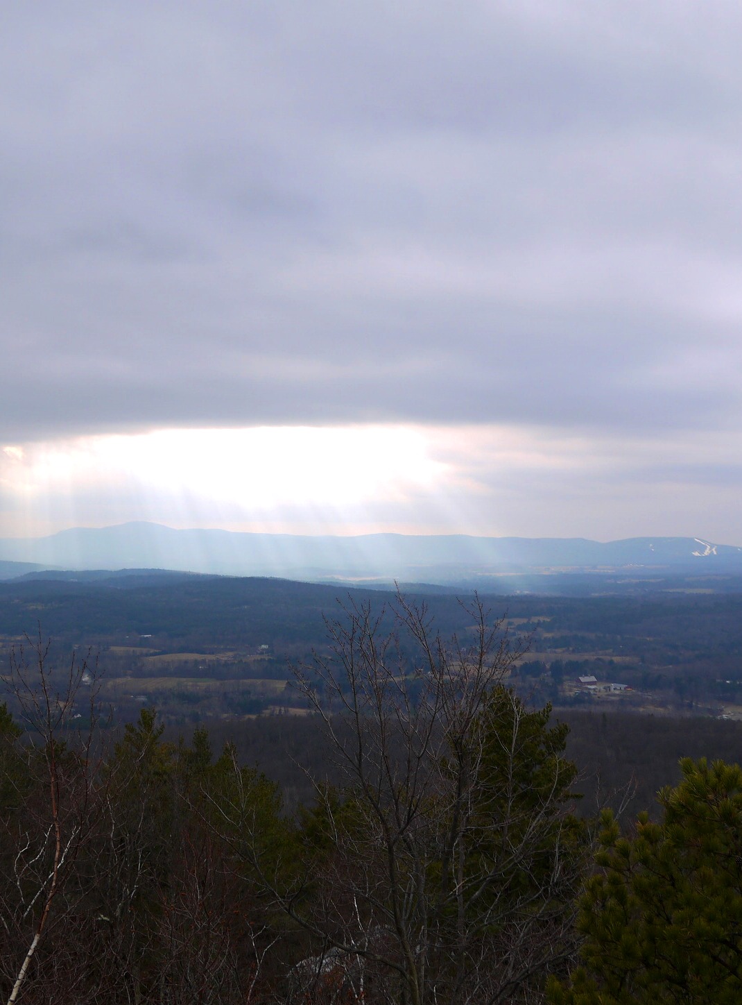 a0190056_7323970.jpg