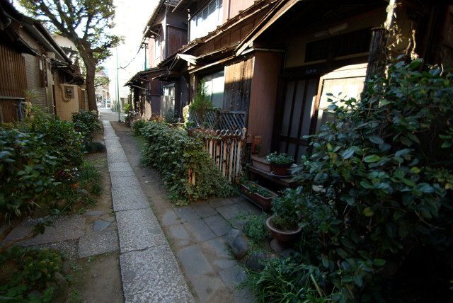 c0080357_17412012.jpg