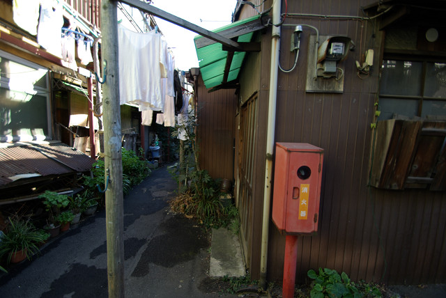 c0080357_1741266.jpg