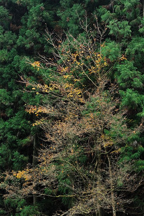 f0222161_9492633.jpg