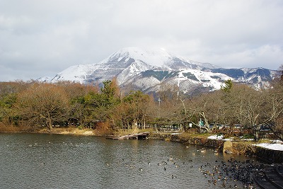 f0106664_734261.jpg
