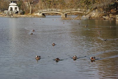 f0106664_7345148.jpg
