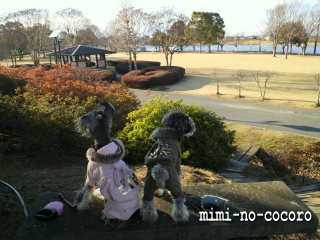 f0155381_22385698.jpg