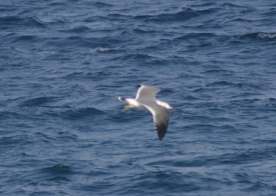 e0197884_23484162.jpg
