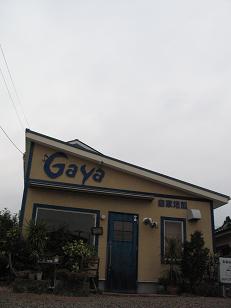 e0130185_11264148.jpg
