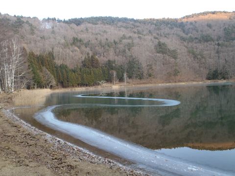 d0165689_0501415.jpg