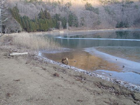 d0165689_0505581.jpg