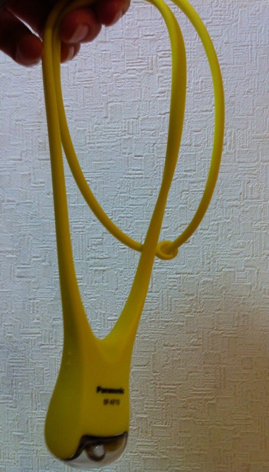 a0176294_13251321.jpg