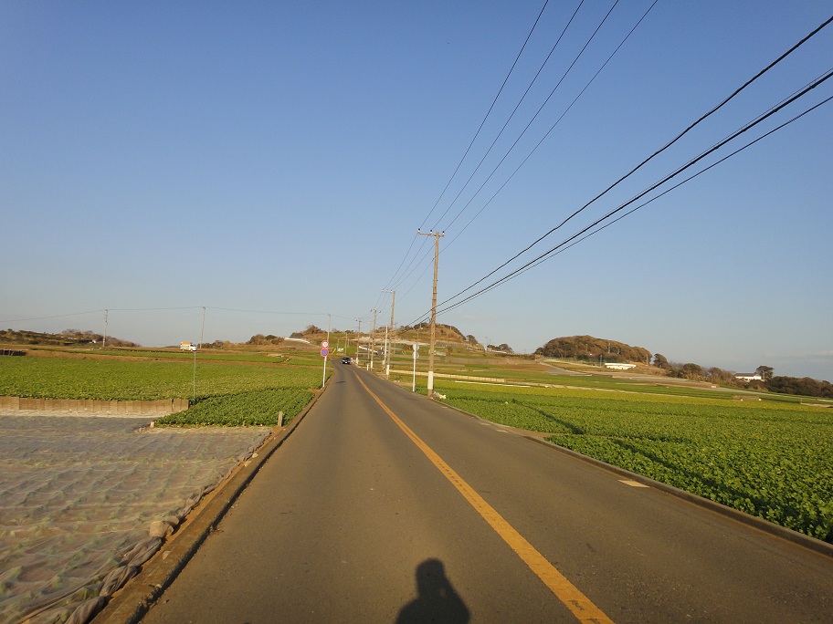 b0092300_2244320.jpg