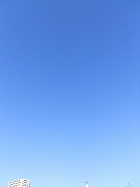 b0147203_17161223.jpg