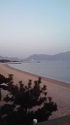 a0243305_756589.jpg