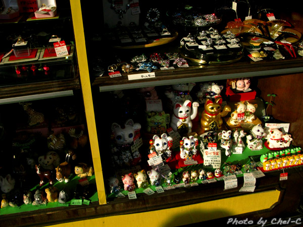 a0154706_529766.jpg
