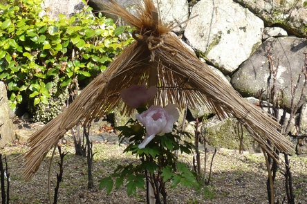 f0221708_22585069.jpg