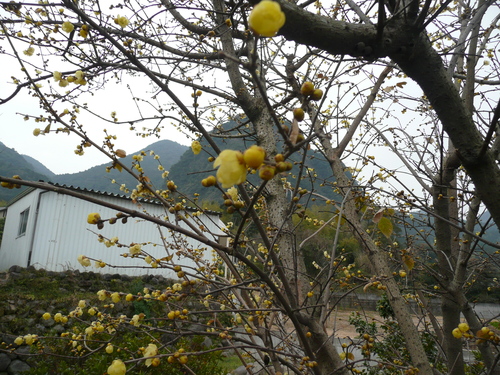 f0204110_9383699.jpg