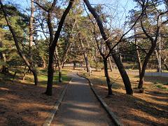 f0022024_19423728.jpg