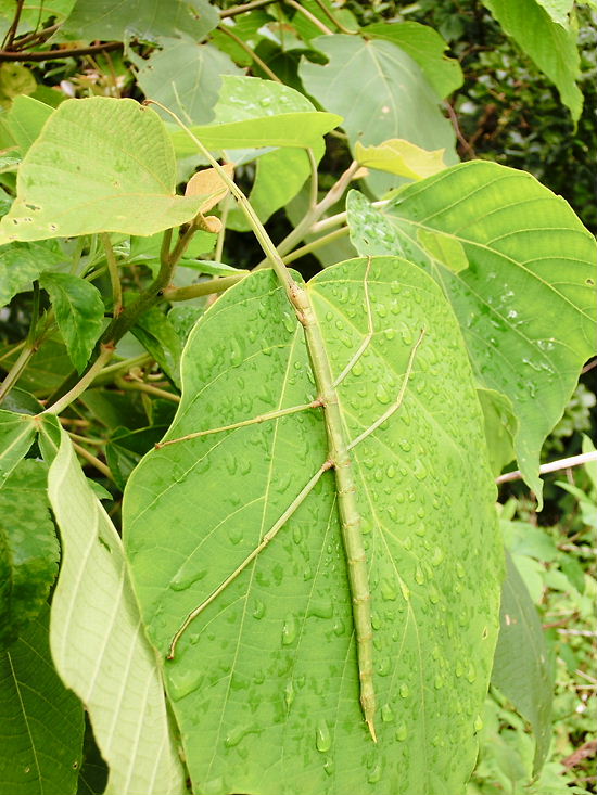 a0126632_901614.jpg