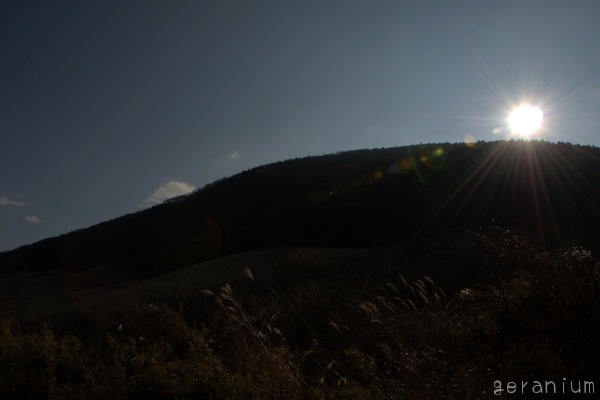 c0133533_115991.jpg