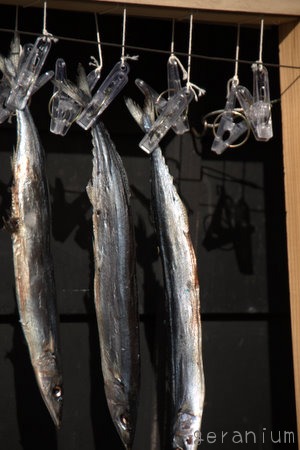 c0133533_224510.jpg