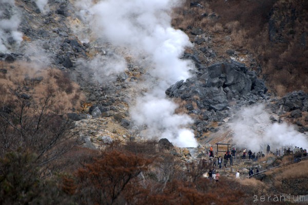 c0133533_272280.jpg