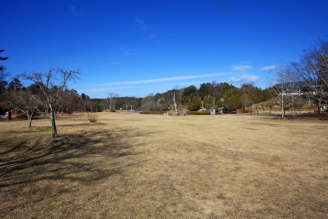 a0242438_1845447.jpg
