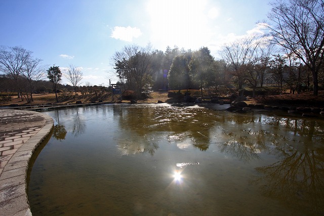 a0242438_184931.jpg