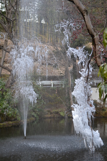 e0228938_22522180.jpg