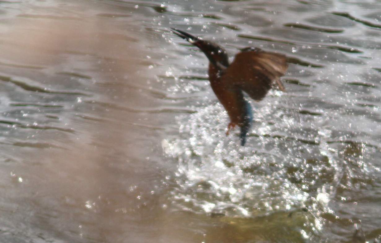 c0172139_23175785.jpg