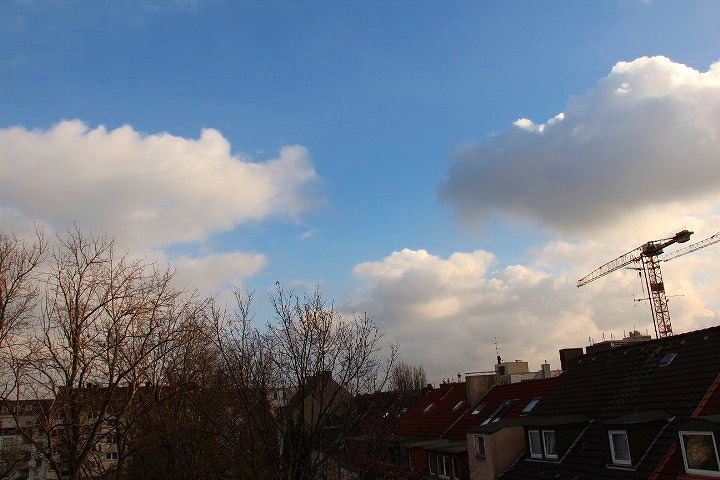 c0153740_251753.jpg