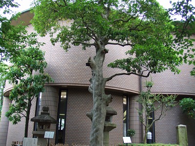 e0173645_1130373.jpg