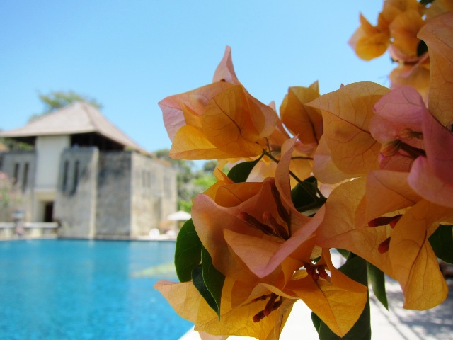a0250263_7403825.jpg