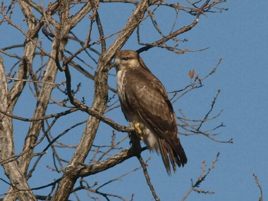 f0208666_11255743.jpg
