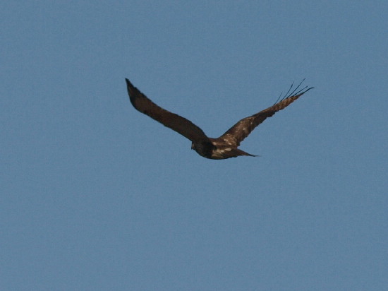 f0208666_1137258.jpg
