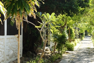 c0108673_231492.jpg