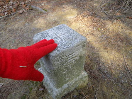 c0019376_2044142.jpg