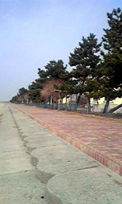 c0125283_133476.jpg