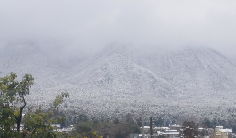 c0144185_1645435.jpg