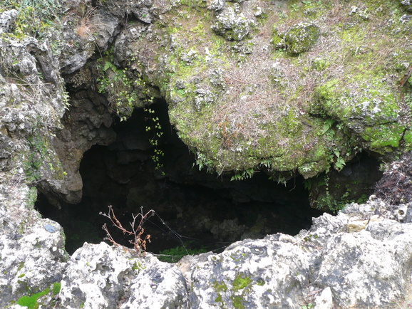 a0147890_23455084.jpg