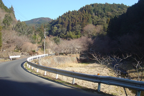 d0212491_19391545.jpg