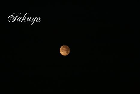 e0122194_1451554.jpg