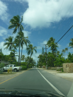 c0077697_187544.jpg