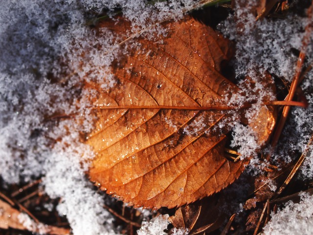 f0224100_6252819.jpg