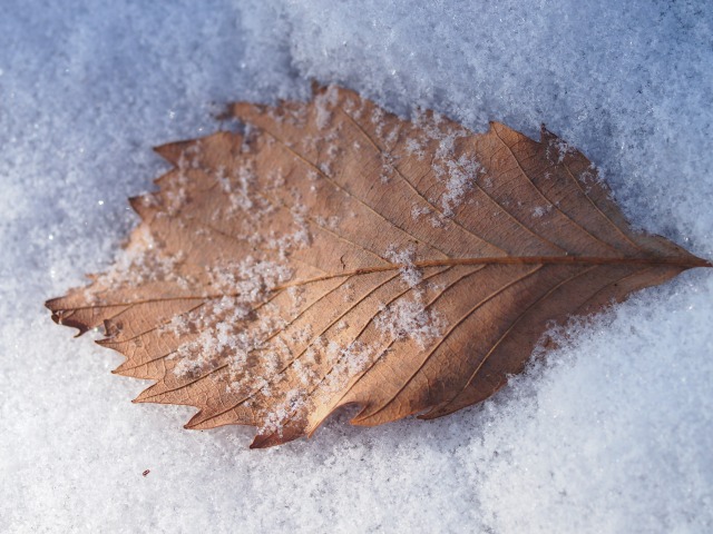 f0224100_6255454.jpg