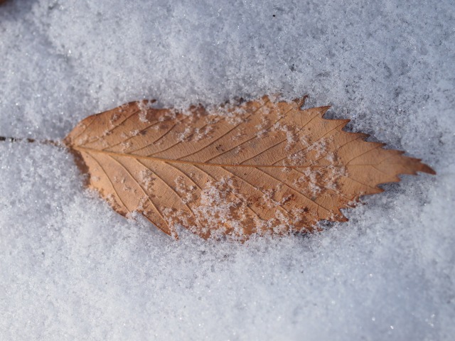 f0224100_6264883.jpg