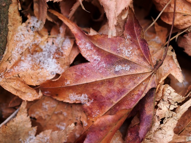 f0224100_627436.jpg