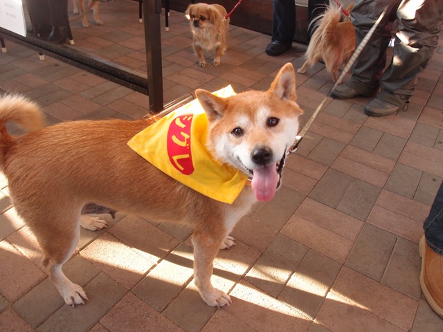e0018604_1613032.jpg