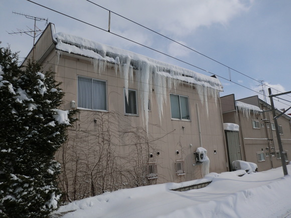 e0242504_7355865.jpg